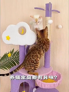 SKISOPGO Multi Functional Pet Deodorant Long-lasting Odor Cat Deodorizer Cat Litter Dog Toilet Decontaminant