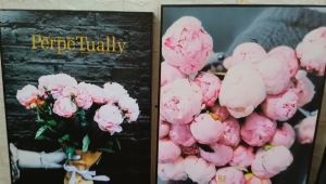 Tranh treo phòng khách tranh phong cảnh tranh hình cây xương rồng tranh giá rẻ combo 3 tranh canvas treo tường tranh decor siêu xinh