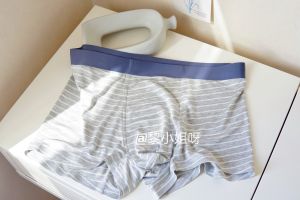 Soft to Take off | Modal Stripes Men Underwear Traceless Ventilation 3A Antibacterial Crotch Mens Boxers Miss Li