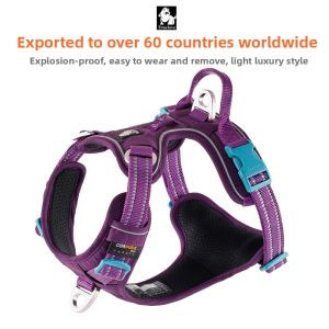 TRUELOVE | Vest-style Dog Leash for Small and Large Dogs