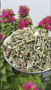 1KG CỐI XAY KHÔ SẠCH THƠM DỄ UỐNG TỐT CHO XƯƠNG KHỚP TIỂU BUỐT TIỂU RẮT LỢI TIỂU GIẢI ĐỘC CX Bích Lộc Thảo