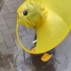 Kids UFO Raincoat | Waterproof & Fun Design | Same Rain Zero Worries!