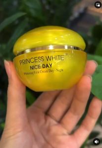 Kem Nice Day Princess White Dưỡng Trắng Giữ Ẩm Ngừa Lão Hóa Da  22gr