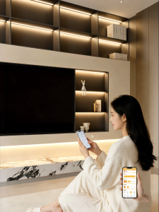 BEIQIVI | Tủ TV Treo Tường Chứa Thép 85 inch