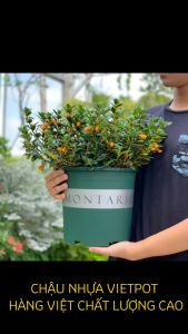 Chậu nhựa trồng cây VIETPOT màu Trắng MONTARIO trồng hoa kiểng để bàn ban công sân vườn
