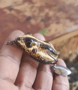 Soft Frog Killer Haruan