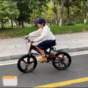 Kids Cycle For Boy Training Bicycle Kids Bicycle For Boys Girls Bike With Training Children Bicycle Perambulator Male 6-8-12 Years Old 15 Small Disc Brake Speed Change