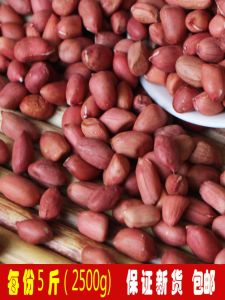 Red Skin Peanuts: A Taste of Shandong