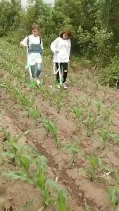 [selected]Multifunctional Knapsack Fertilizer Applicator Backpack Shoulder Bag Corn Tree Agricultural Tools