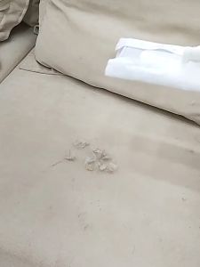 Electrostatic Dust Removal Paper Flat Mop/Hand Free Washing/Wet Dry Tissue Disposable Rag/Wipes/Tisu Pengelap Lantai