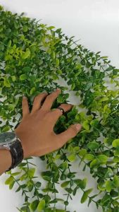 Juntai Ekaliptus Panjang 1 Pcs - pelaminan - hiasan import artificial hiasan Dekorasi Eucalyptus - daun dolar rambat homedecor - dekorasi cafe - Hiasan kamar ruang tamu