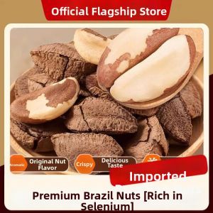 DOUQUCHI | Large Genuine Brazil Nut