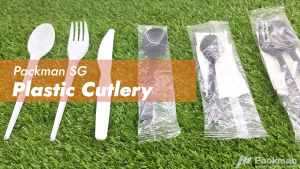 Disposable Plastic Utensils Set Fork Spoon Spork Food Grade Cutlery for Parties Takeaway and Catering