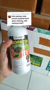 Biopatek 500 ML Asli - Solusi Manjur untuk Mengatasi Karat Daun Busuk Leher dan Hama Tanaman Padi!