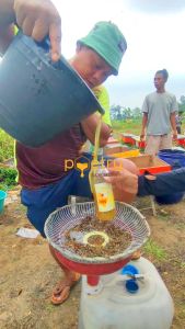 Madu Mentah Multiflora Super Kemasan 1 Kg