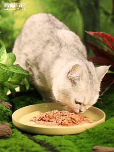 Snack Kucing Paket Sachet Praktis Nutrisi Seimbang untuk Kucing PeliharaanMakanan Pokok Kucing Kotak Makan Siang Kucing Harga Penuh Makanan Kucing Makanan Basah Kucing Kaleng Penggemukan Kucing dan Insang Rambut