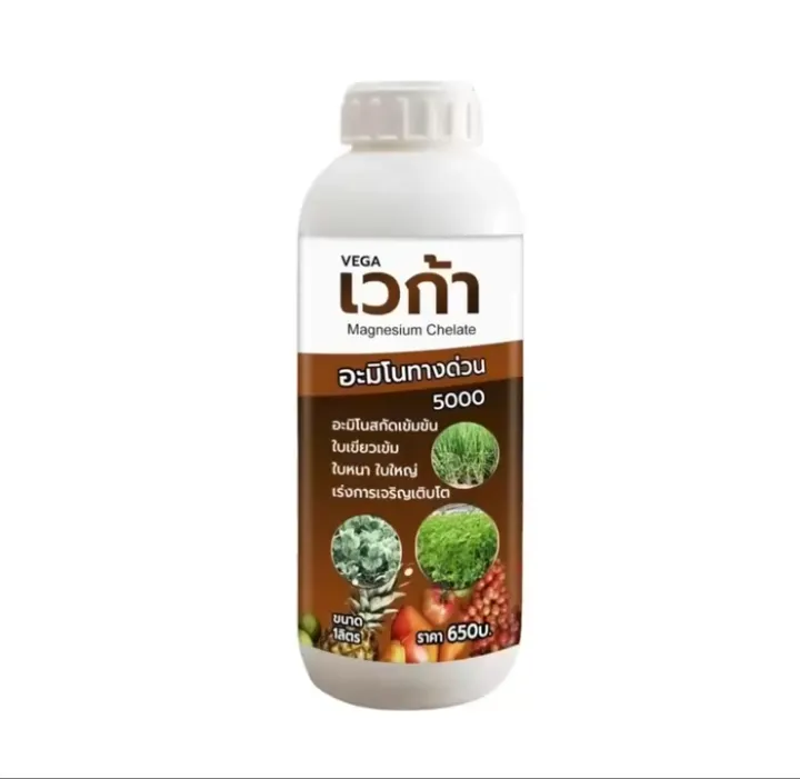 เวก้าอะมิโนทางด่วน5000 บำรุงพืชโตไว เพิ่มผลผลิต