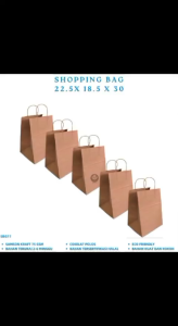Paper Bag Kraft 22.5X18.5X30 Kantong Kertas Goodie Bag (Isi 5 Pcs--SBG11)