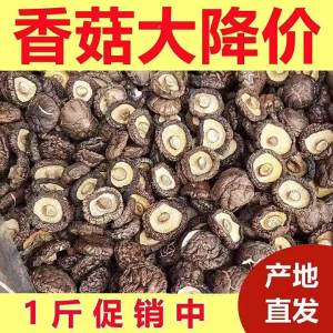 Meaty Thick Fresh Dried Shiitake 500g