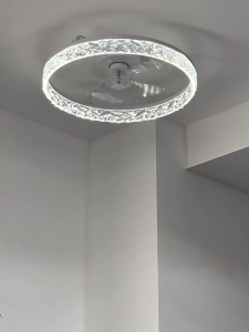 20 Inchs Modern Ceiling Fan LED Lights Remote Control 6 Speed DC Motor Adjustable Brightness LED Ceiling Fan Lamp for Living Room Bedroom Dinning Room