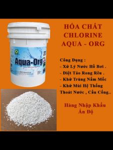 Clo Ấn Độ Chlorine 70% Xử Lý Nước Hồ Bơi Diệt Tảo Rong Rêu Khử Trùng Nhà Cửa