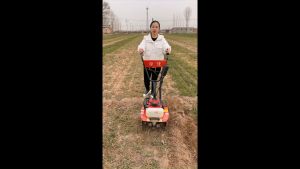 Máy vun luống ngô mini giá tốt nhất tại Sài Gòn