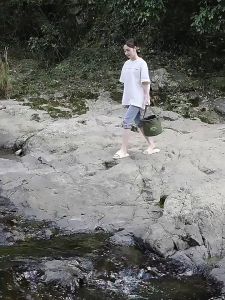 Panduan Pembelian Ember Lipat Multifungsi & AquaFold Folding Bucket