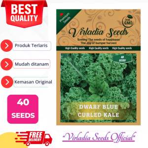 [Virladia Seeds] Biji Benih tanaman Kale Dwarf Blue Curled