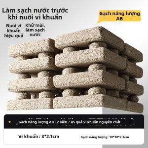 DABINGYANG | Vật Liệu Lọc Hình Hộp Nanomet Đá Sinh Học