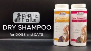 100grams Prolific Tails Dry Shampoo (Persia or Springtime Bliss)