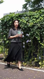 Holycatslabs Paket 10+2 Susu Bubu Buat Anabulmu Auto Gemoy Susu Kucing Mulai dari 0 Bulan Isi 12pcs x 15gr