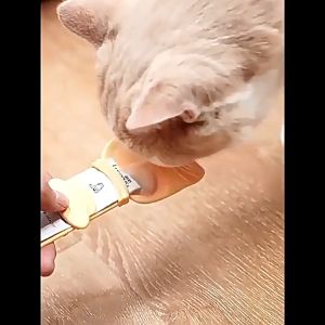 ช้อนบีบ ลายการ์ตูน ช้อนบีบอาหาร เเมวเลียว แบบพกพา ใช้ซ้ําได้ สําหรับสัตว์เลี้ยง สุนัข แมว