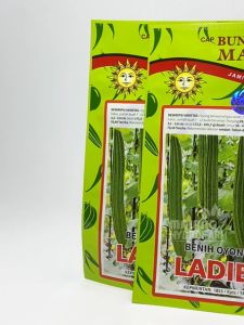 Benih Gambas Ladies 10 gram oyong Cap Bunga Matahari unggul bibit hydroponik hidroponik biji sayur