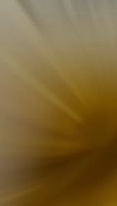 Paket Hemat Dekorasi Tirai Banner Balon Hiasan Backdrop Ulang Tahun Happy Birthday