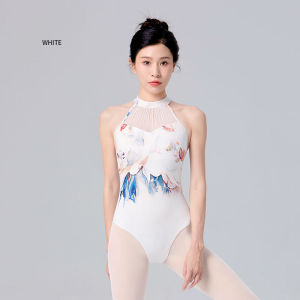 daydance | Woman Ballet Leotards Oil Painting Dance Leotard Adult Mesh Splice Sleeveless Stand Collar Gymnastic Leotard Ballet Bodysuit
