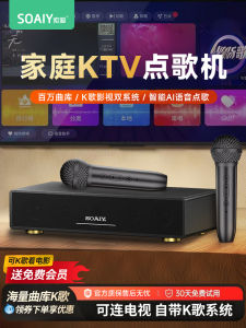 Sony Home KTV Sound System 2025 New Version Song Request Machine Amplifier Home Karaoke Speaker Integrated Machine for Entertainment