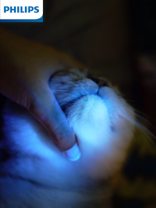 Philips SFL2091 Woods UV Lamp - 395nm Ringworm Detection Laser Cat Teaser Type-C 5H Runtime 1m Drop Resistant