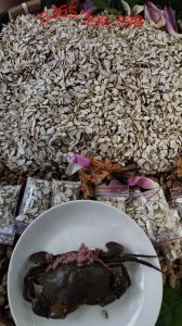 {giảm sôc 50 %}Hạt sang trắng tây cắc hạt sành dạ dày đại tràng