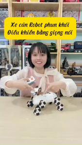 Xe Điều Khiển Chó Robot Dog 8 Bánh Phun Sương Có Drift Xoay 360 Độ Di Chuyển Đa Hướng Có Đèn Có Nhạc Cho Bé