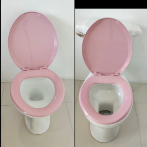 ฝารองนั่งชักโครก FuJI รุ่น K-2100 ฝาชักโครกสวยๆ  พลาสติกอย่างดี ใช้ได้ทั้งชักโครกราดน้ำ(ไม่มีถังน้ำด้านหลัง)และแบบมีถังกดน้ำ