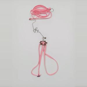 Jiaxun | Turtle Leash For Brazilian & Leopard Tortoises