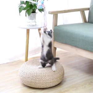 Cat Teaser Glitter / Tongkat Mainan Kucing Premium