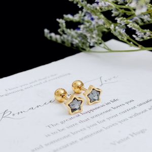 Elegant Titanium Steel Star Shaped Ear Studs Womens Fashion Jewelry Non-allergic Zirconia Post Earrings Securely Fastened