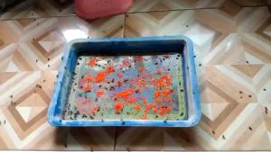 ชุดแท้ 50 แพ็ค ผงไข่เน่า ราคาถูกกำจัด เหยื่อกำจัดแมลงวัน 50 แพ็ค พิเศษ ฆ่าแมลงวันบ้าน และฆ่าแมลงวันขั้นเทพ ใช้ฆ่าแมลงวันบ้านสำหรับการเทรด