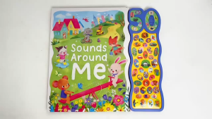 Noisy Sounds Around Me 50 Buttons Sound Book To Learn About the World For Kids