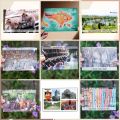 Kartu Pos Bali Postcard Bali Beach Traditional Food Greeting Card Indonesia Souvenir Pulau Dewata. 
