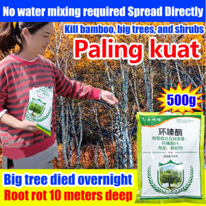 Hexazinone Power Herbicide for Root Destruction - Tree & Bamboo Killer 500g