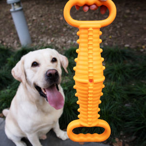 Interactive Pet Toys TPR Large Dog Chew Toy Sound Making Golden Retriever Labrador Dog Toy Pulling Rope Toy for Dogs