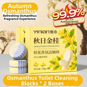 Yinian | Powerful Deodorizing Toilet Cleaner