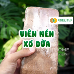 10 Viên Đất Trồng Cây Greenhome Viên Nén 500gr Đã Qua Xử Lý Bổ Sung Vi Sinh Nở Gấp 5 Lần